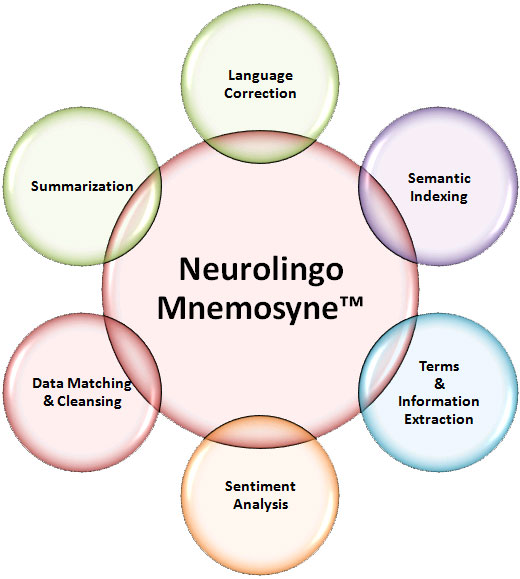 Neurolingo Mnemosyne-TM Functions Diagram - Large