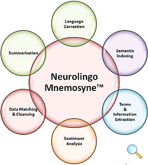 Neurolingo Mnemosyne-TM Functions Diagram