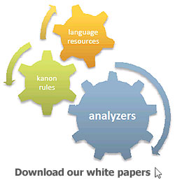 Mnemosyne processing uses language resources, kanon rules and analyzers