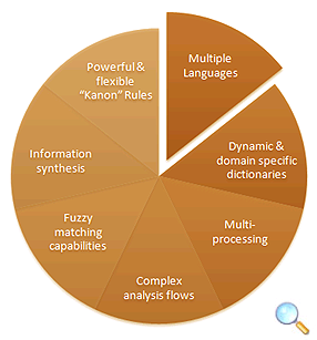 Neurolingo Mnemosyne-TM Functions Diagram